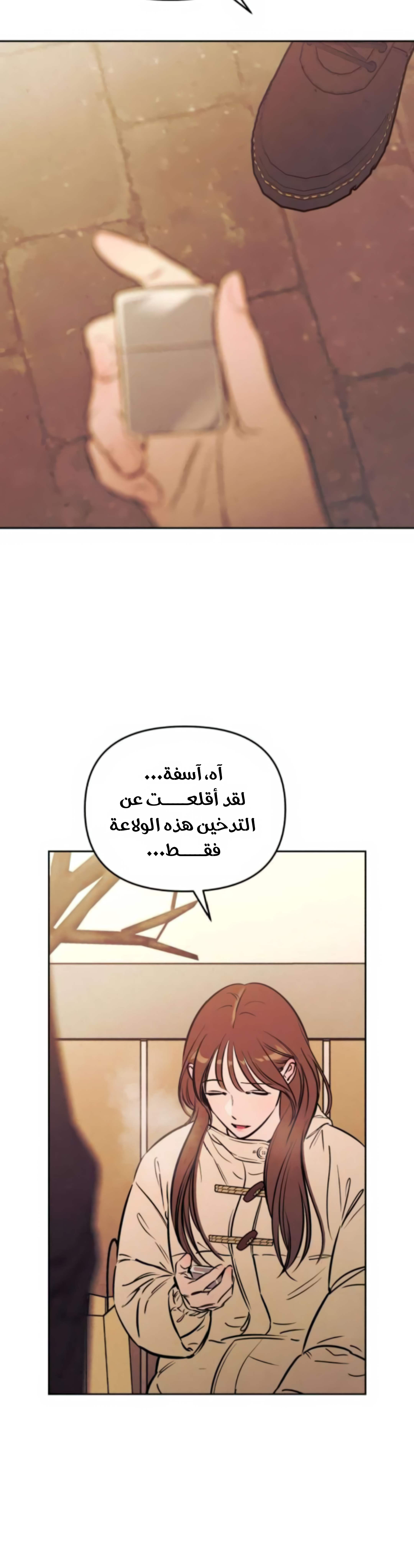 الصفحة 17