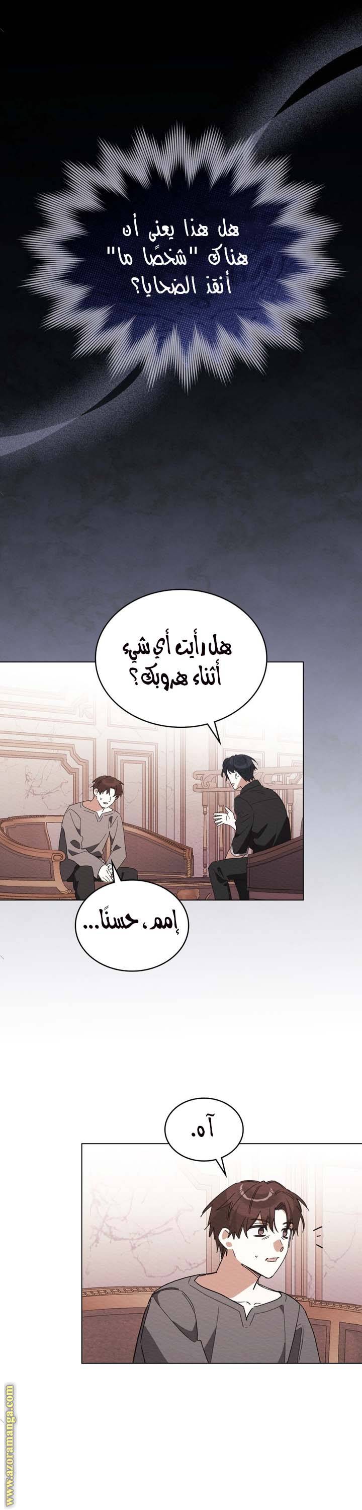 الصفحة 17