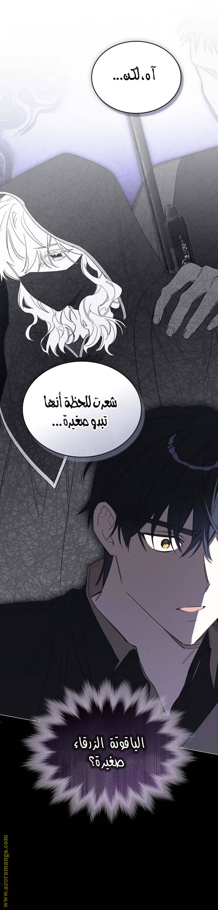 الصفحة 20