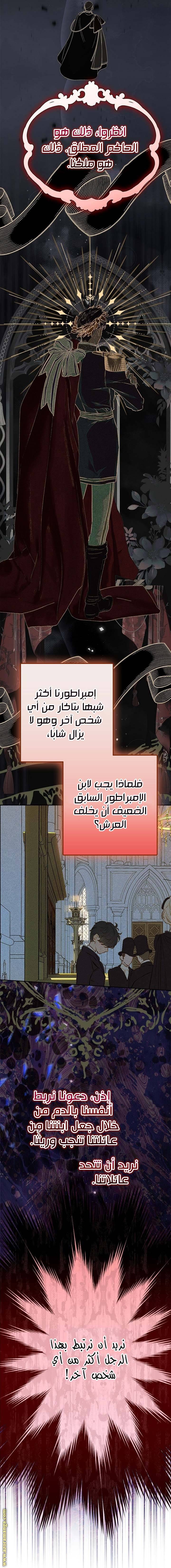 الصفحة 17