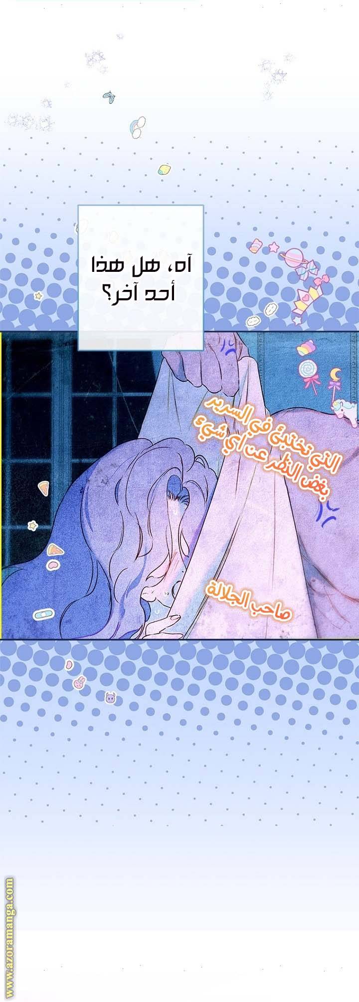 الصفحة 29