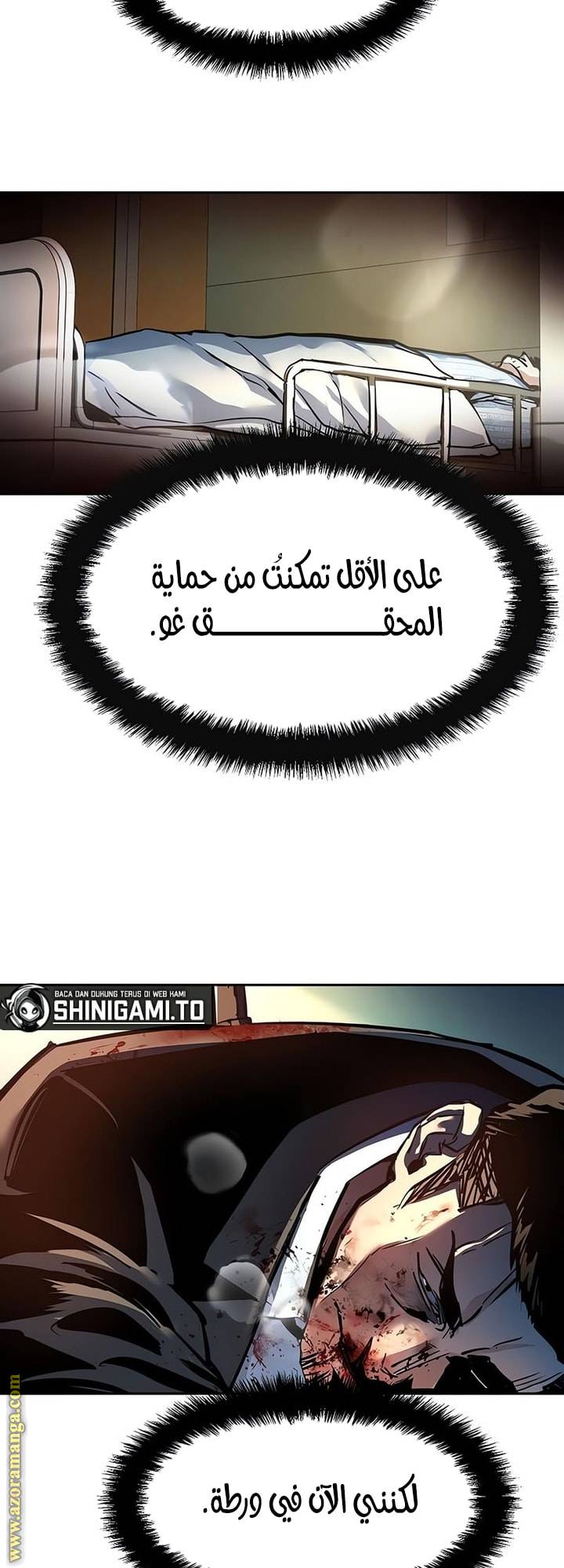 الصفحة 29