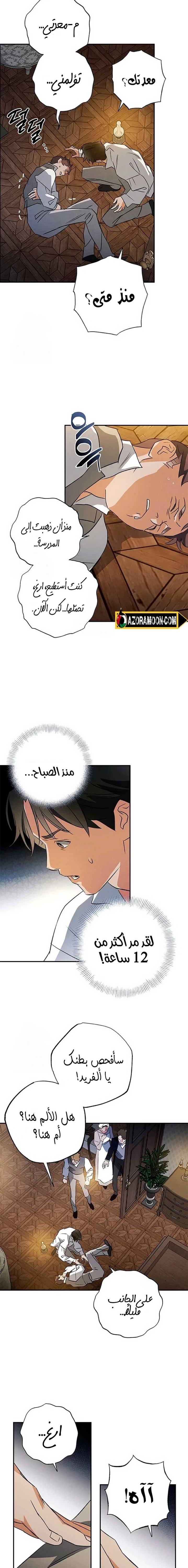 الصفحة 13
