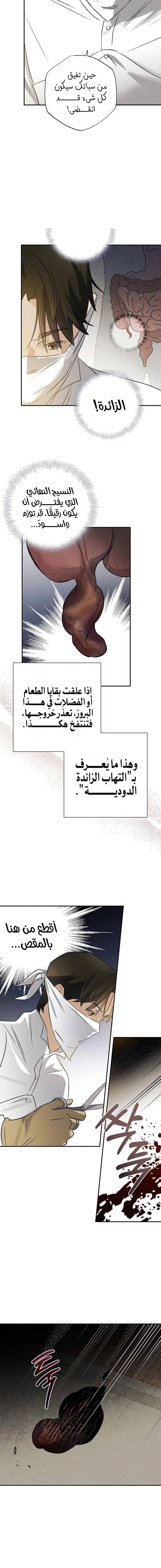 الصفحة 8