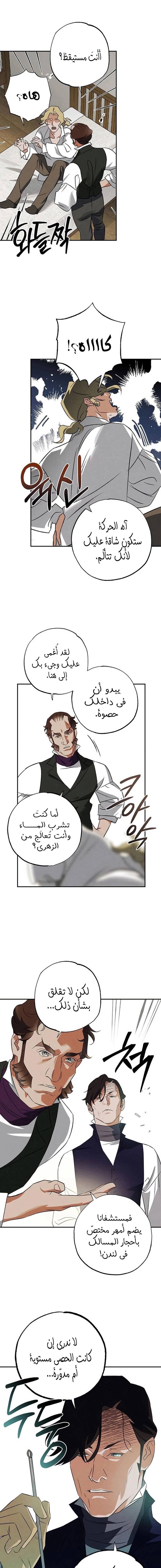 الصفحة 13