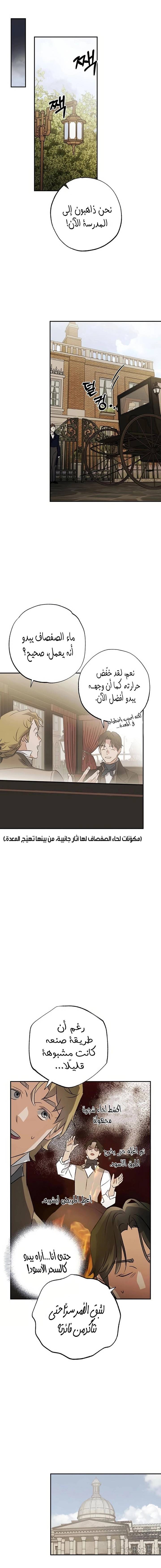 الصفحة 11