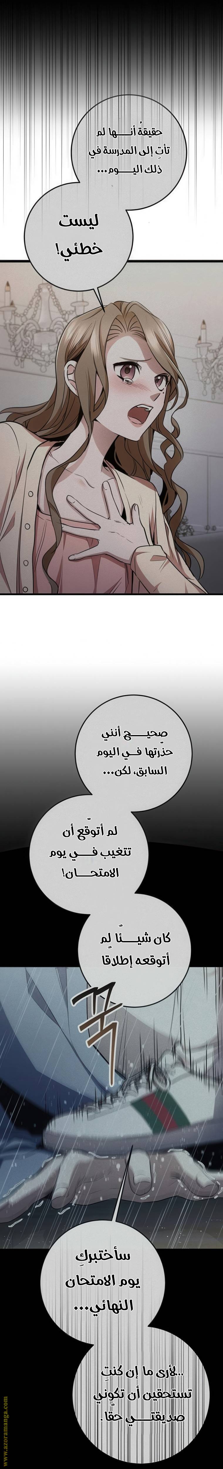 الصفحة 27
