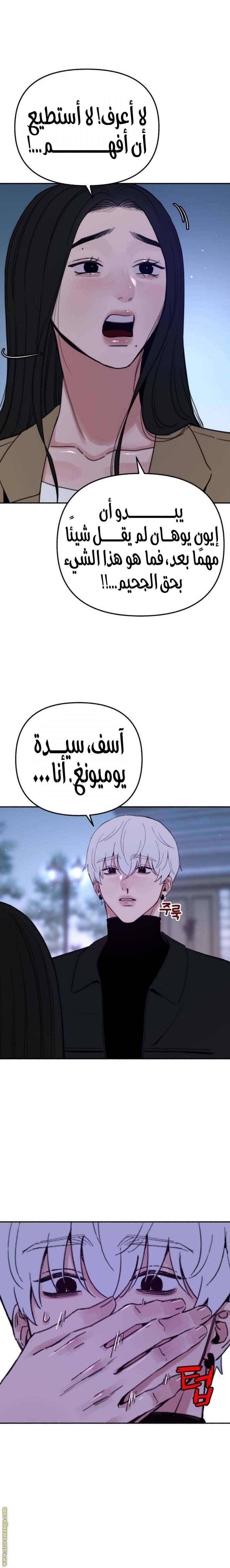 الصفحة 20