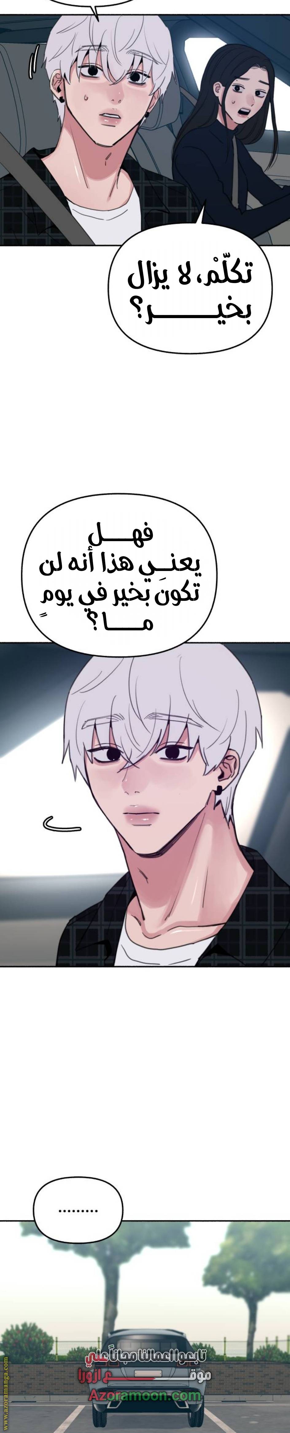 الصفحة 13