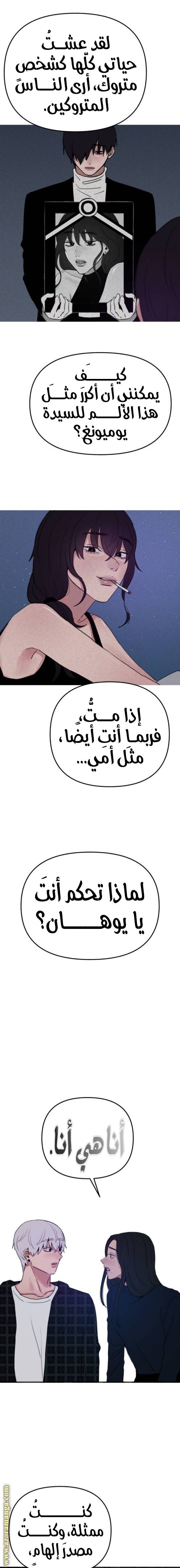 الصفحة 17