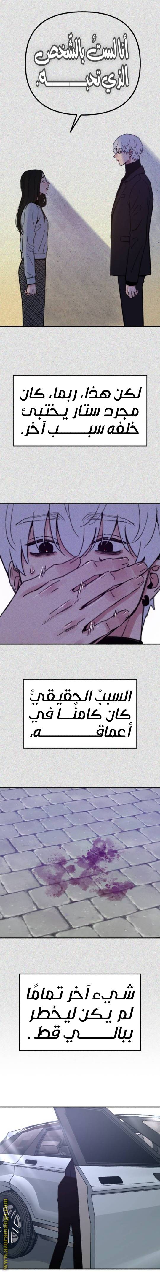 الصفحة 21
