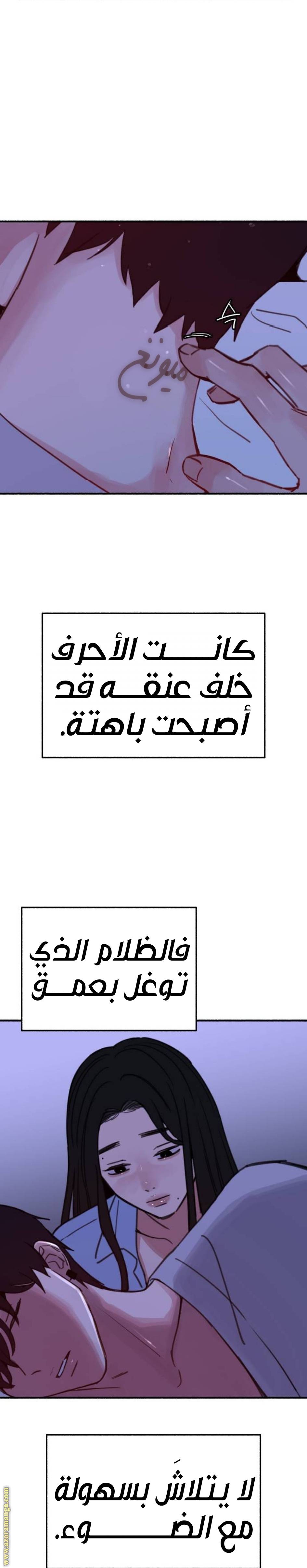 الصفحة 19