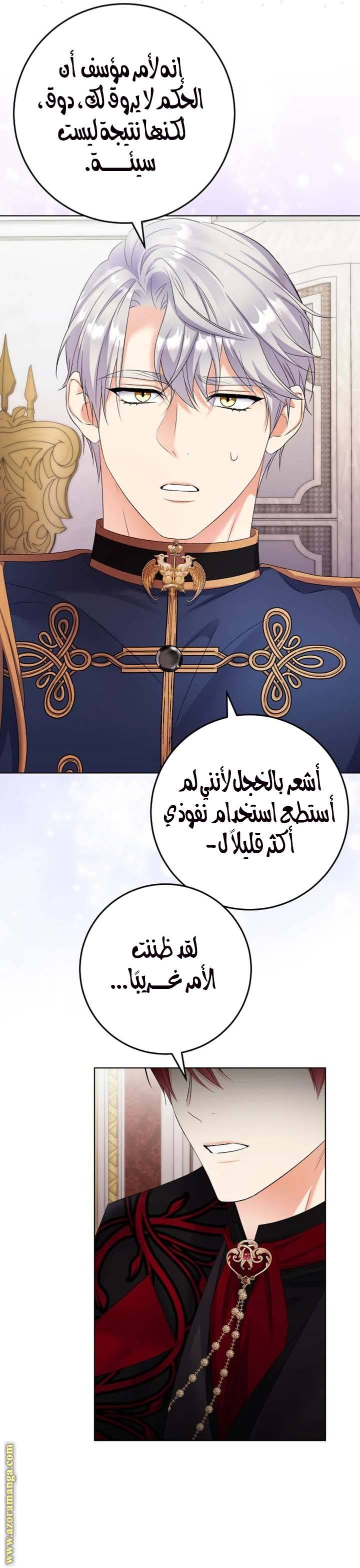 الصفحة 25