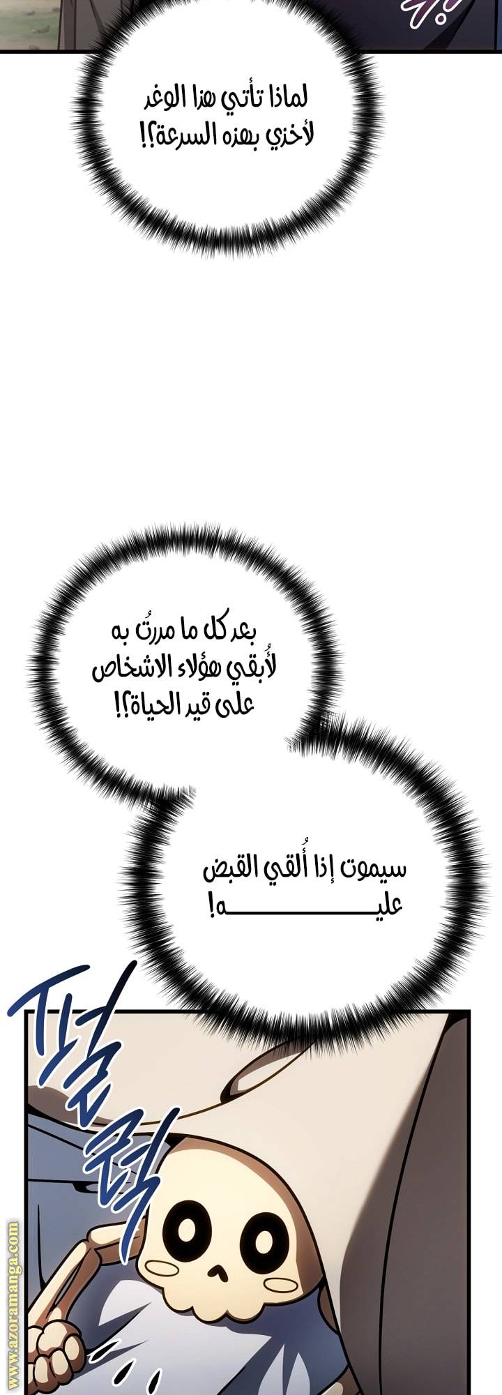 الصفحة 17