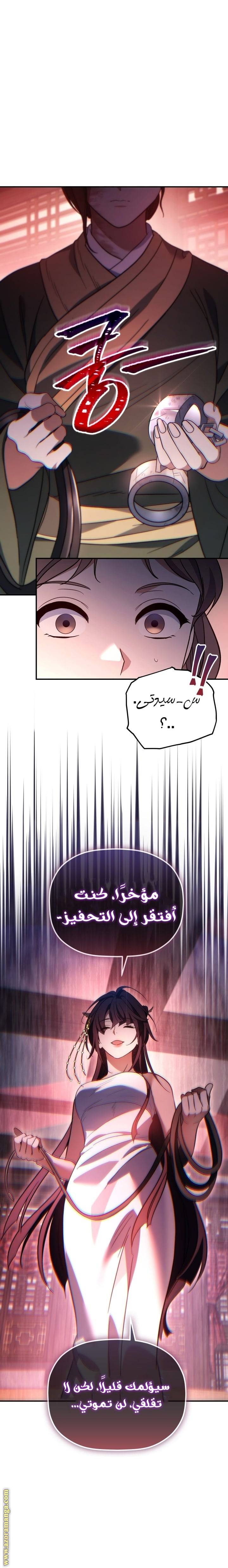 الصفحة 26