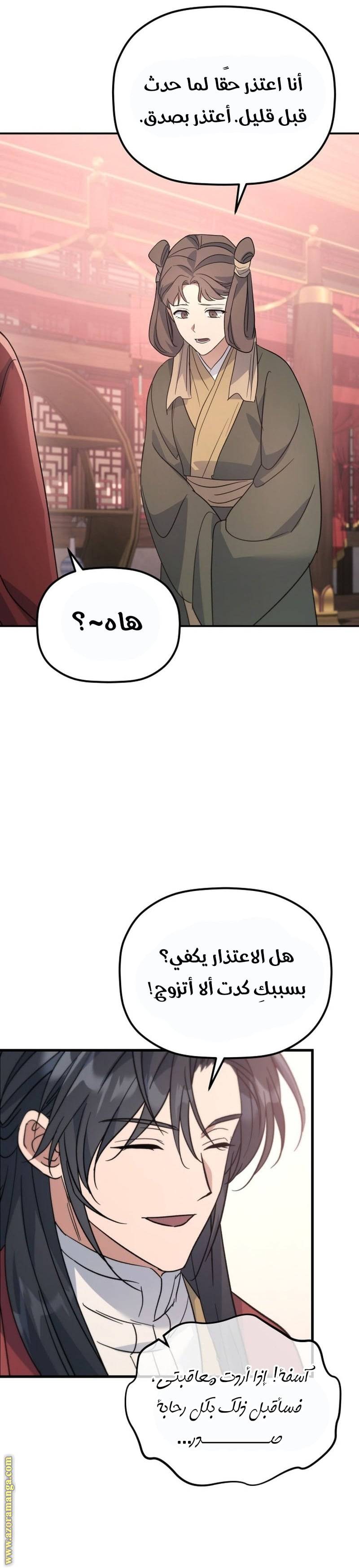 الصفحة 27