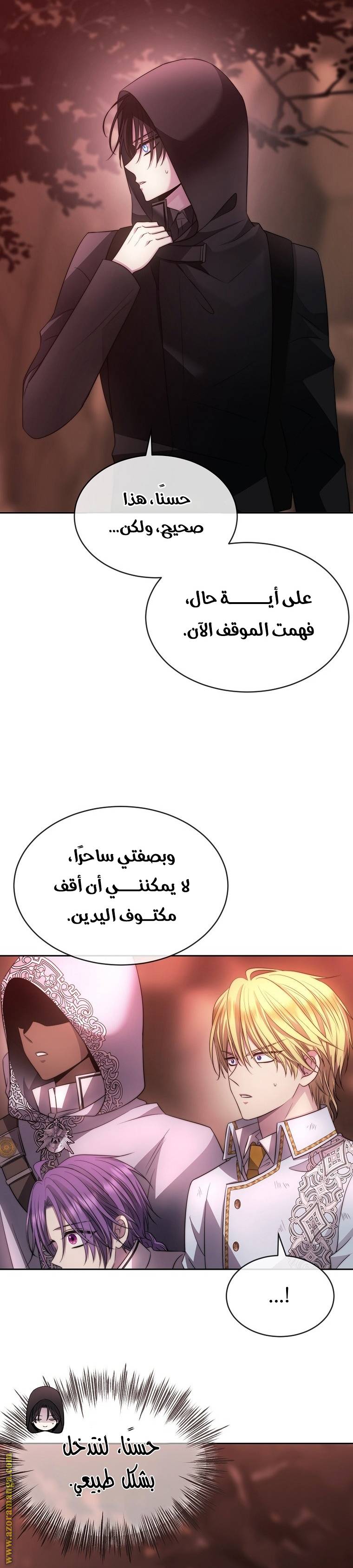 الصفحة 26