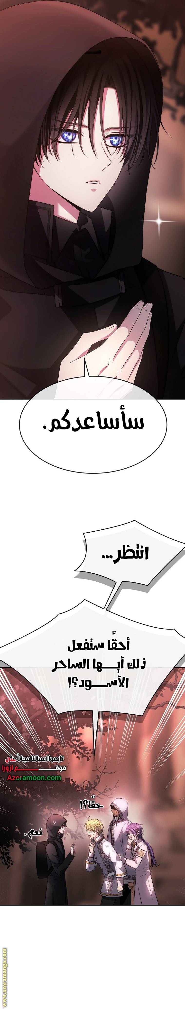 الصفحة 27