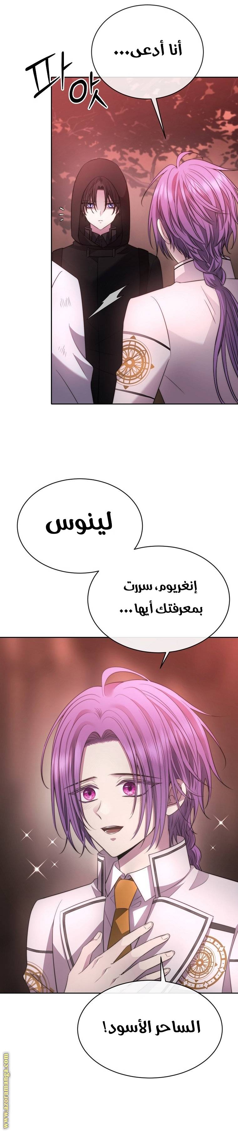 الصفحة 28
