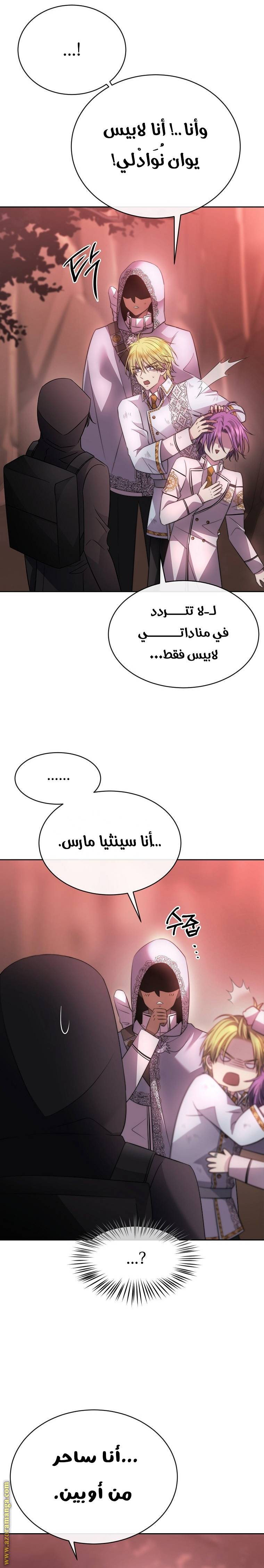 الصفحة 29