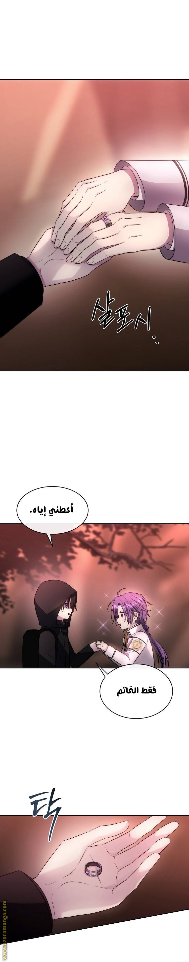 الصفحة 33