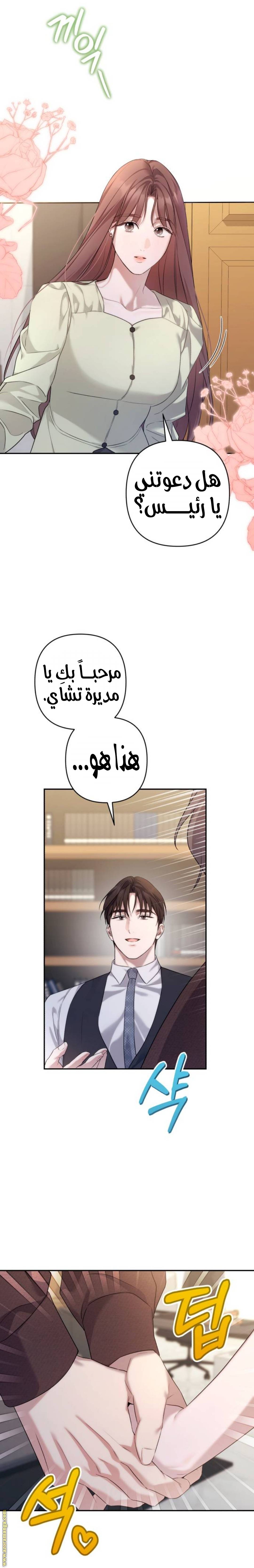 الصفحة 12