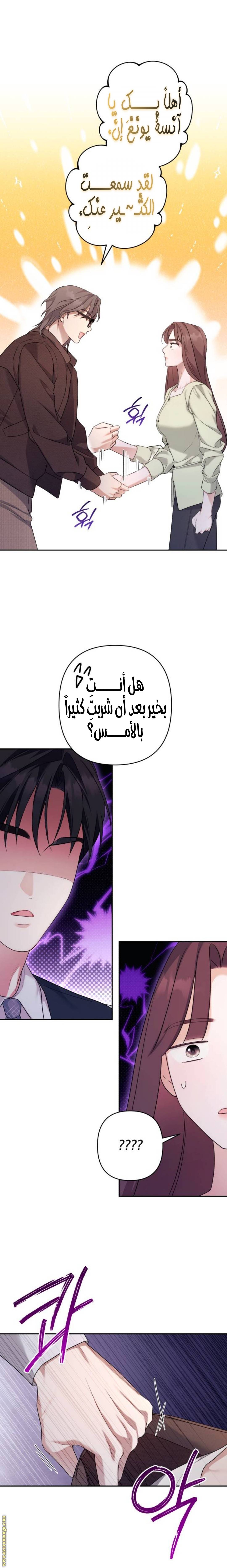 الصفحة 13