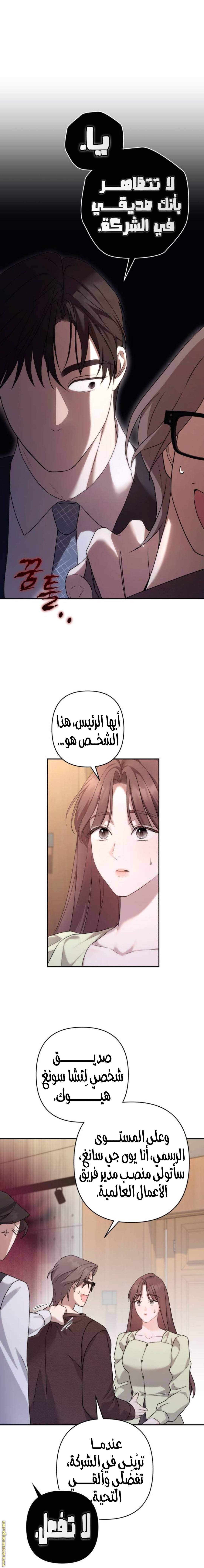 الصفحة 14