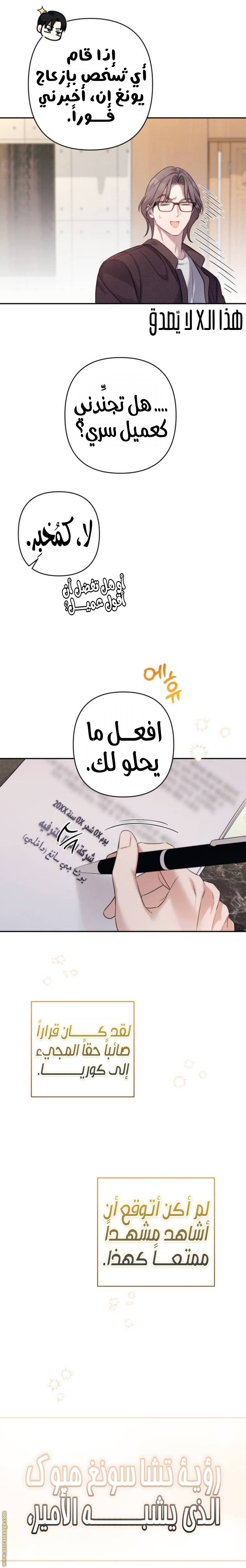 الصفحة 17