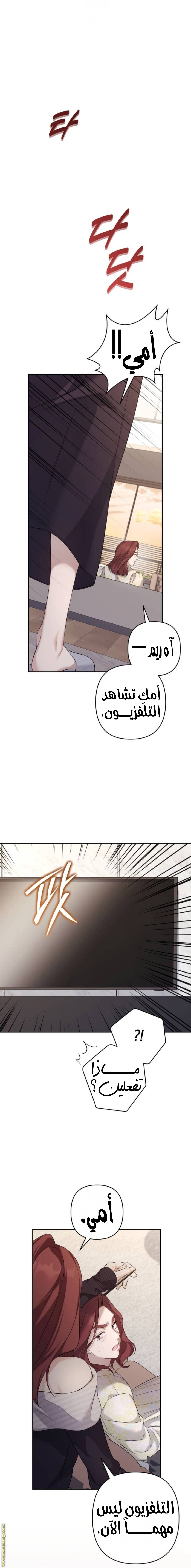 الصفحة 20