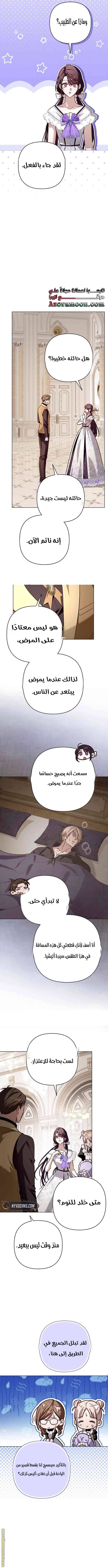 الصفحة 13