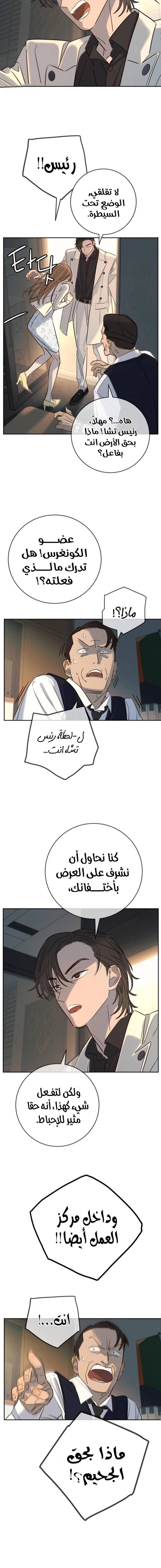 الصفحة 14
