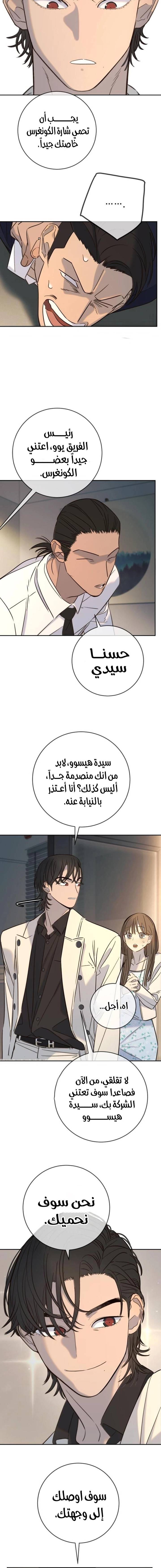 الصفحة 17