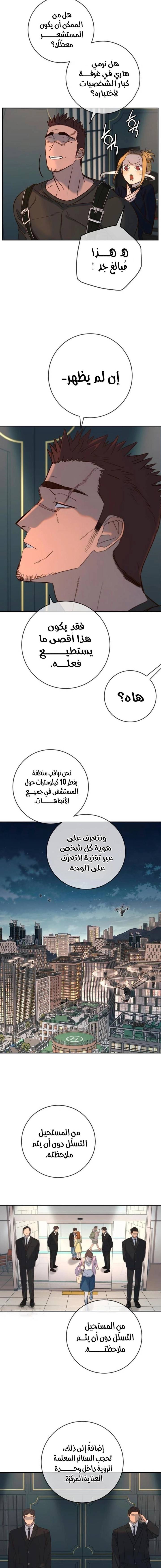 الصفحة 17