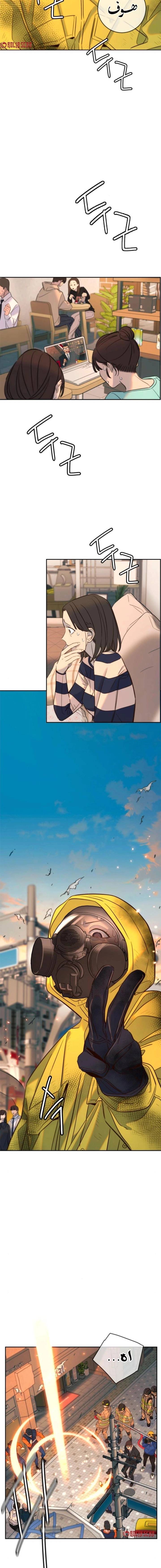 الصفحة 17