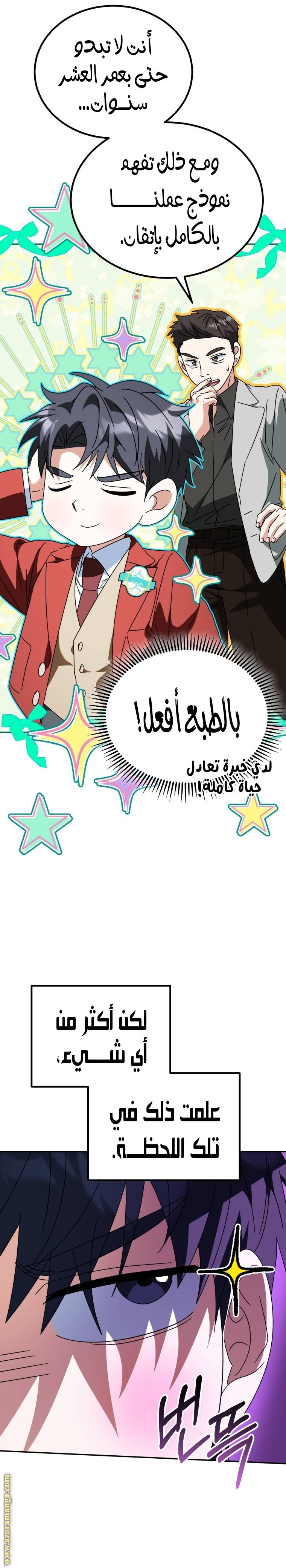 الصفحة 17