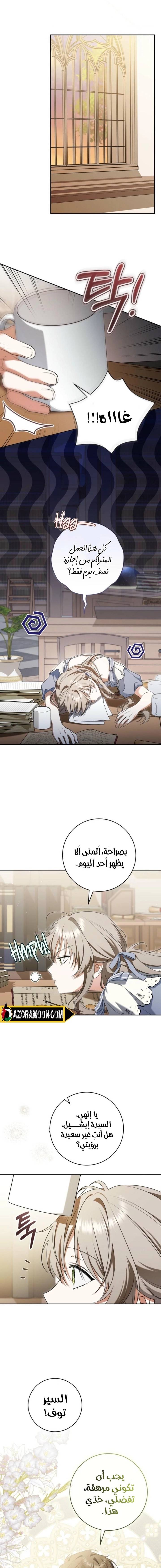 الصفحة 12