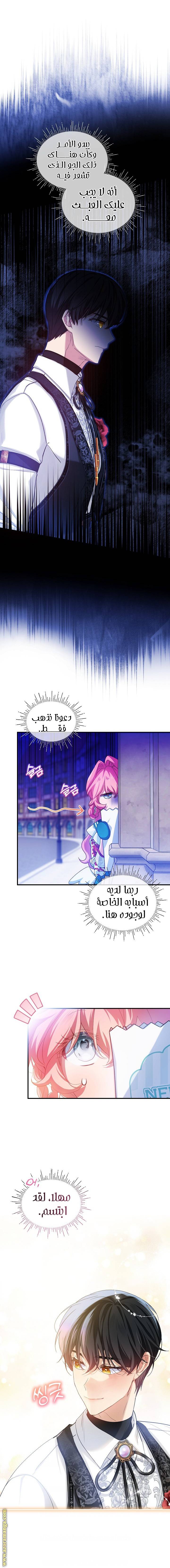 الصفحة 11
