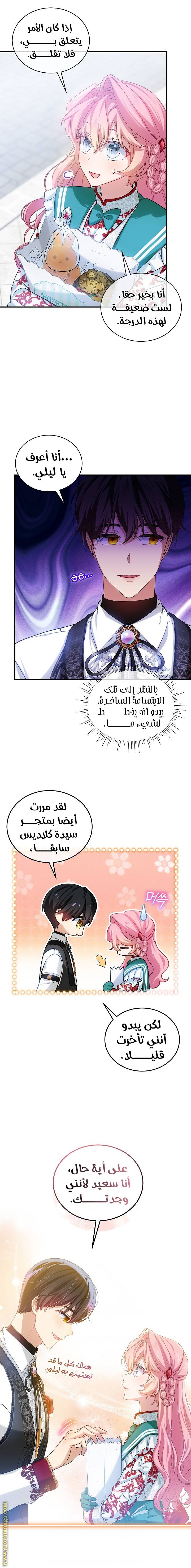 الصفحة 11