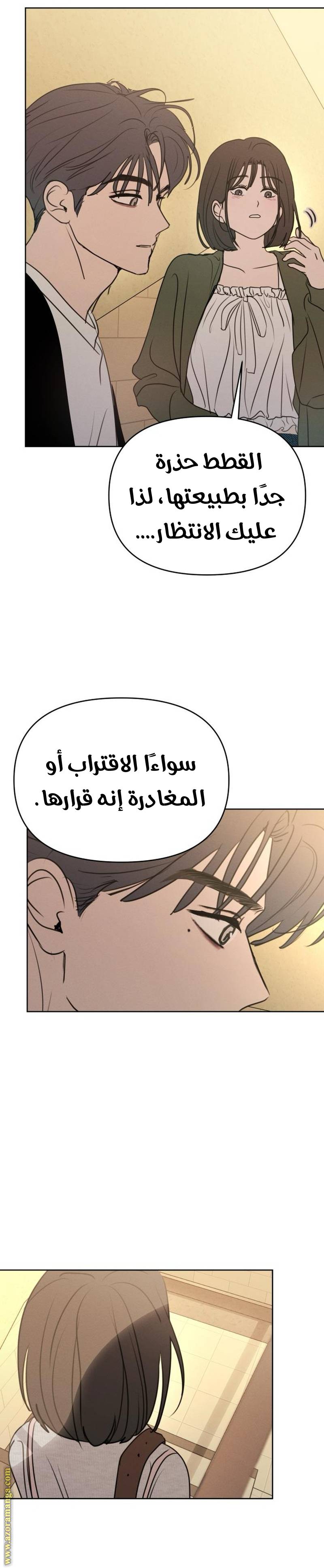 الصفحة 11