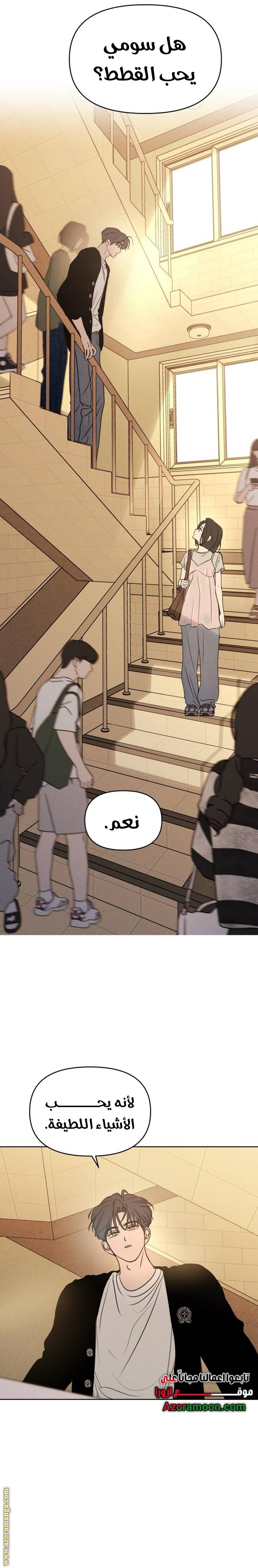 الصفحة 13