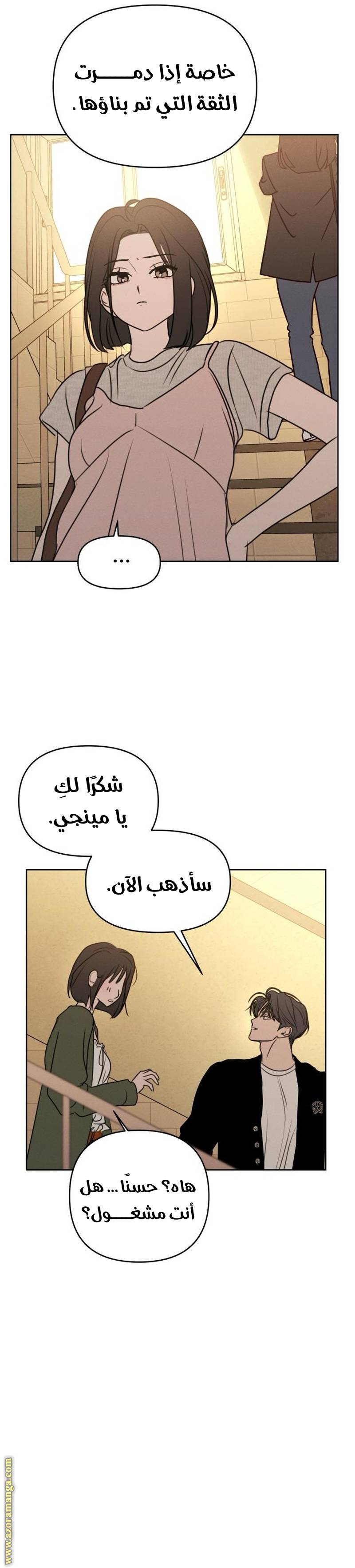 الصفحة 17
