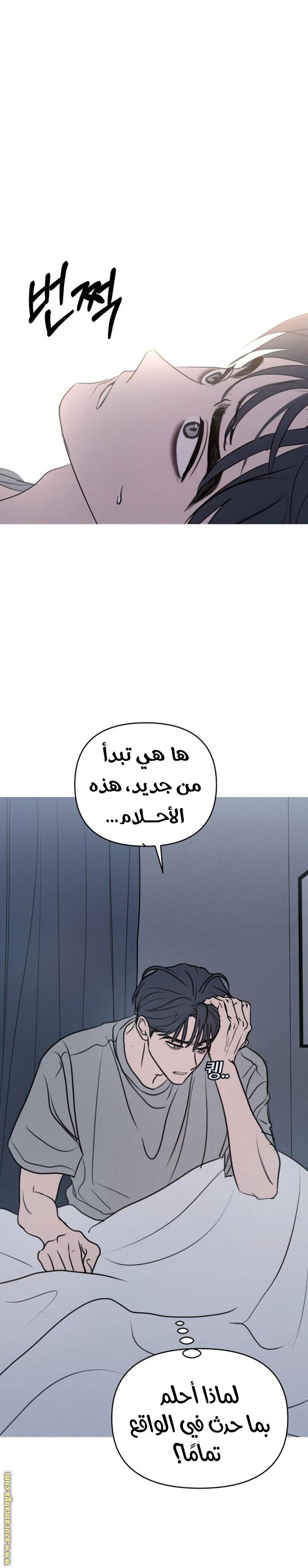 الصفحة 23