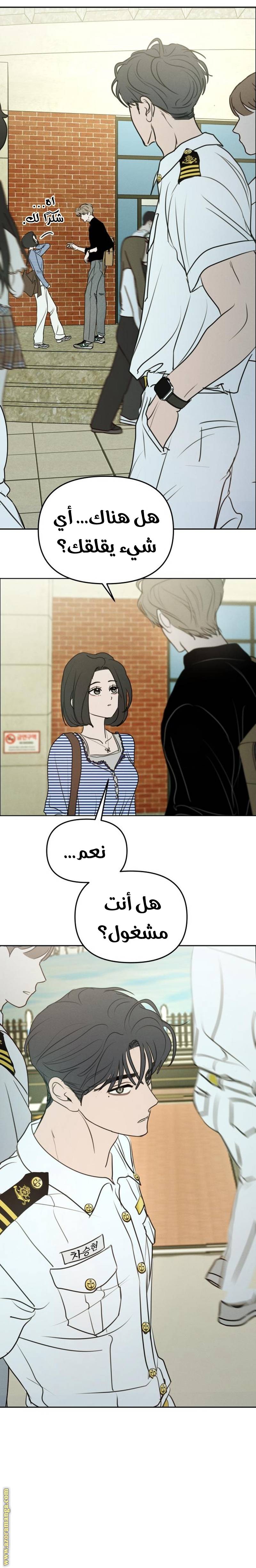 الصفحة 29