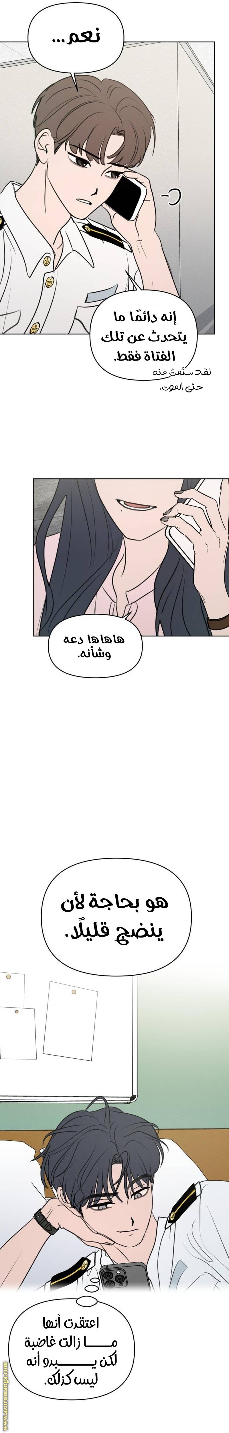 الصفحة 21