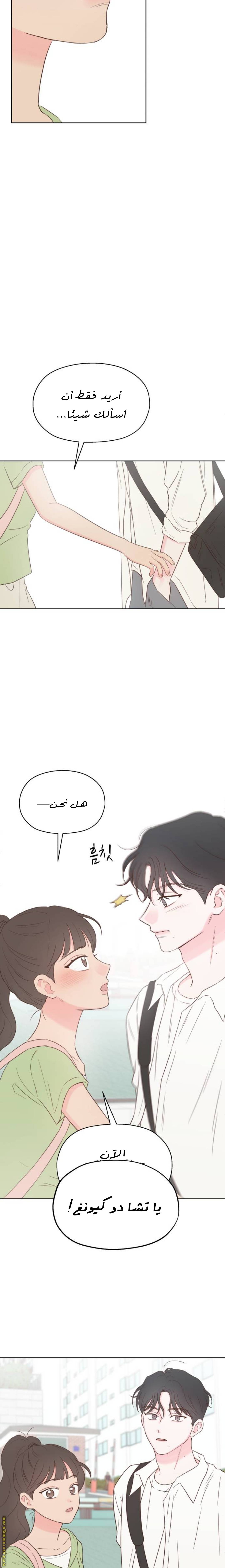 الصفحة 15