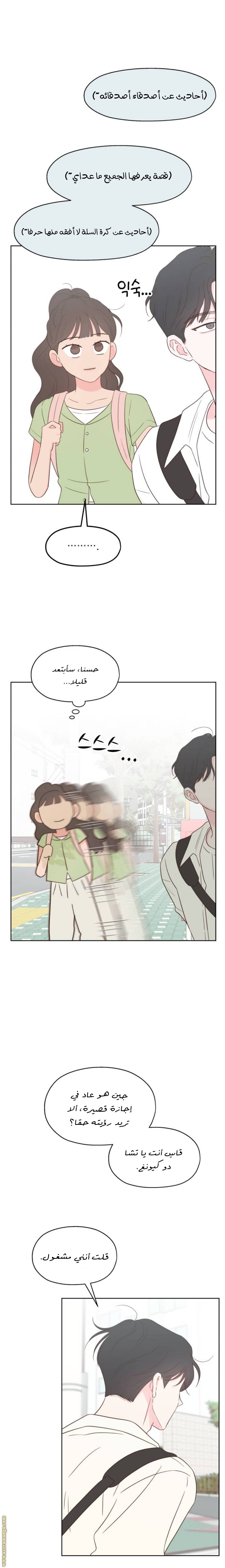 الصفحة 17