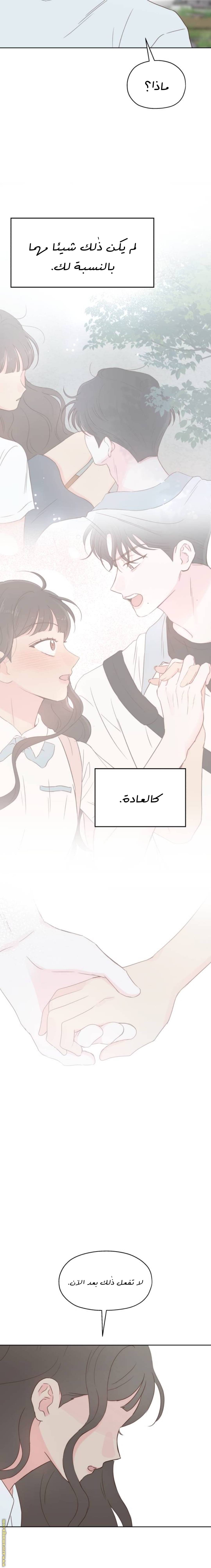 الصفحة 17