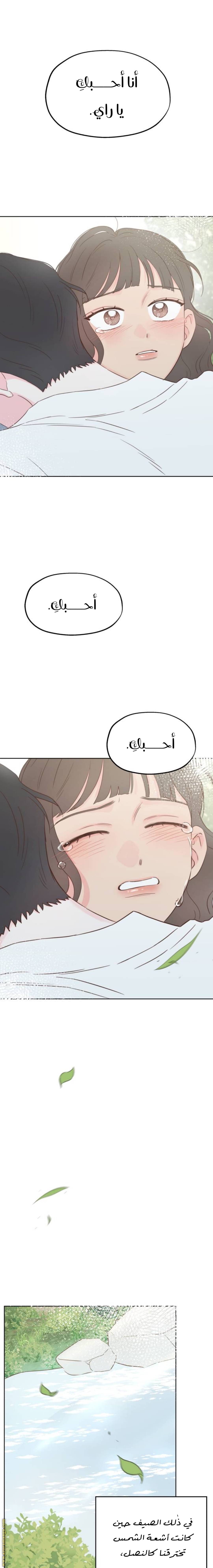 الصفحة 26