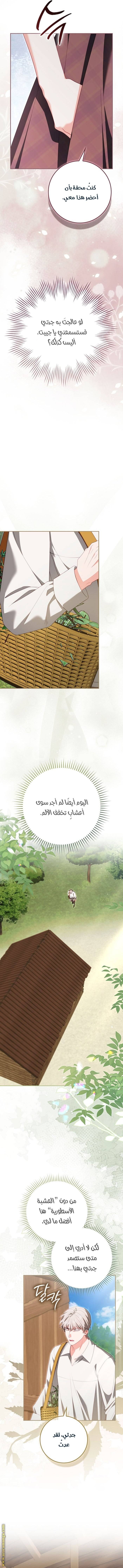 الصفحة 14